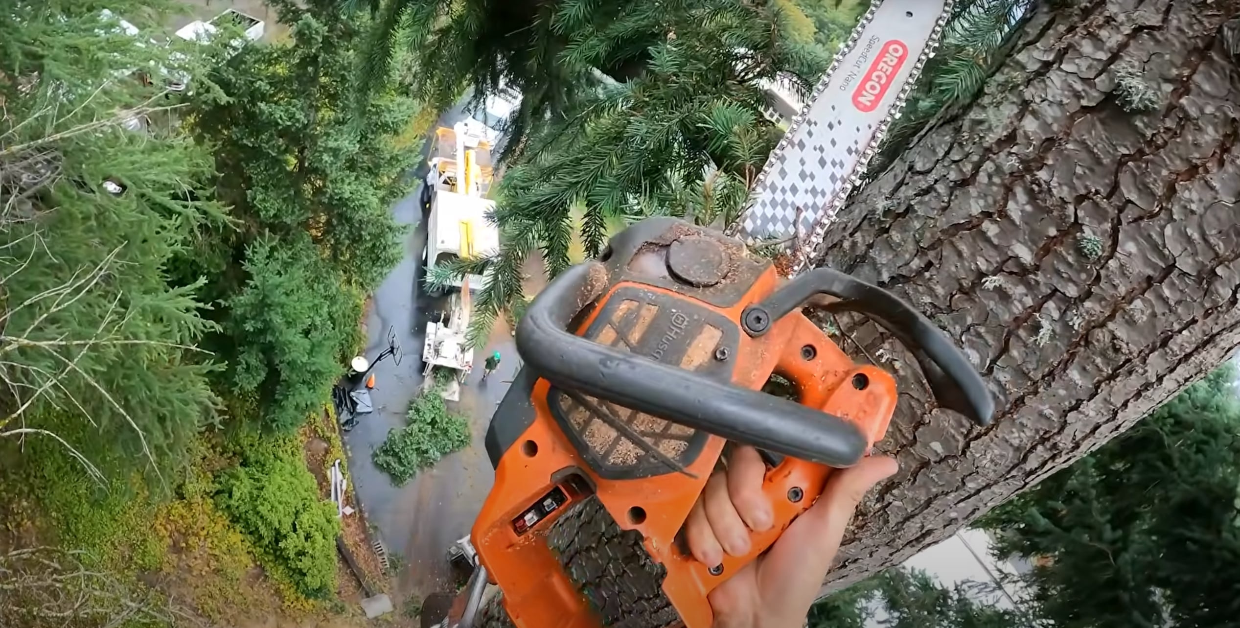 Close-up of professional chainsaw work during tree removal in Greenacres, FL