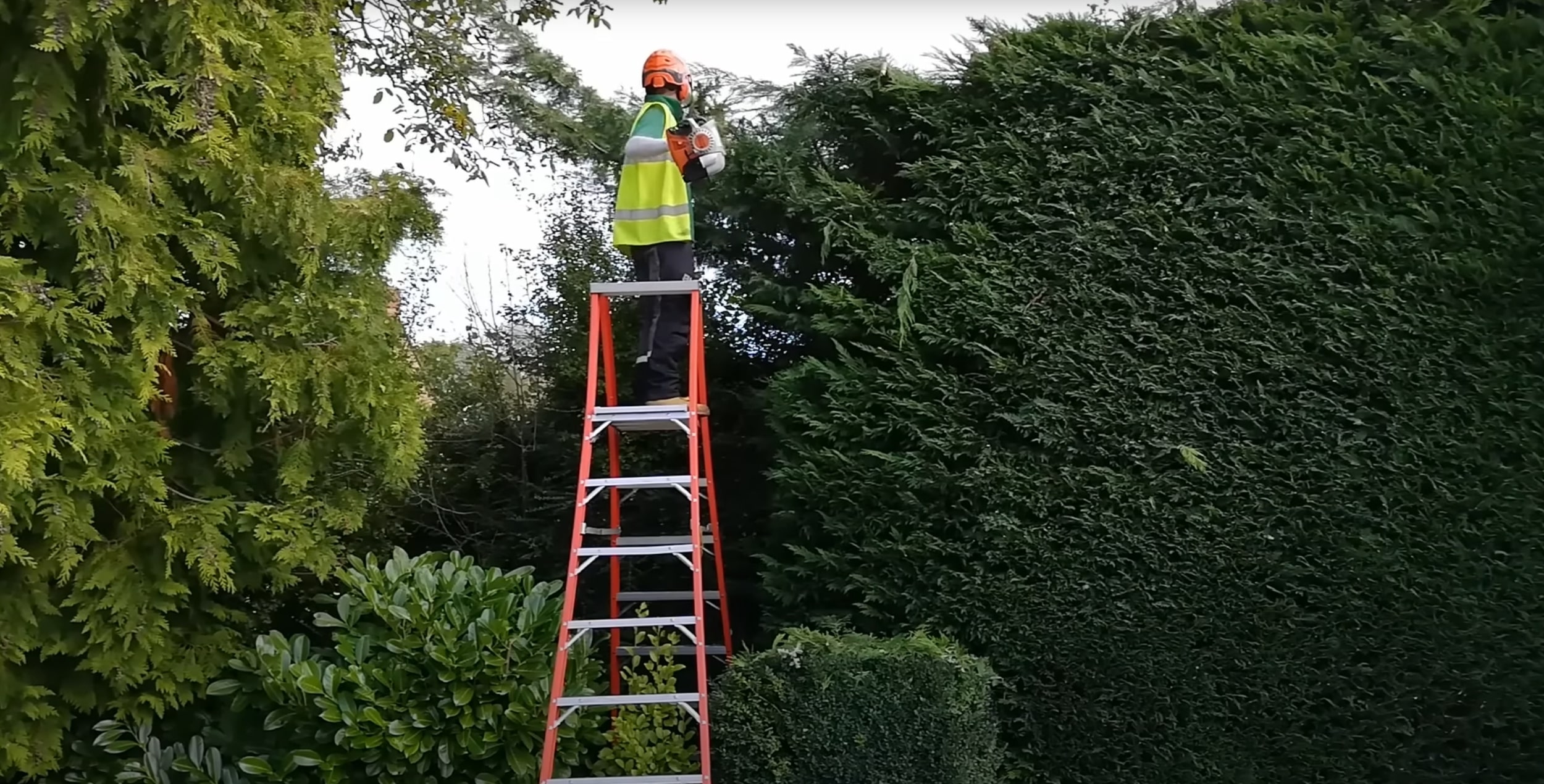 Professional hedge and shrub maintenance service in Greenacres, FL