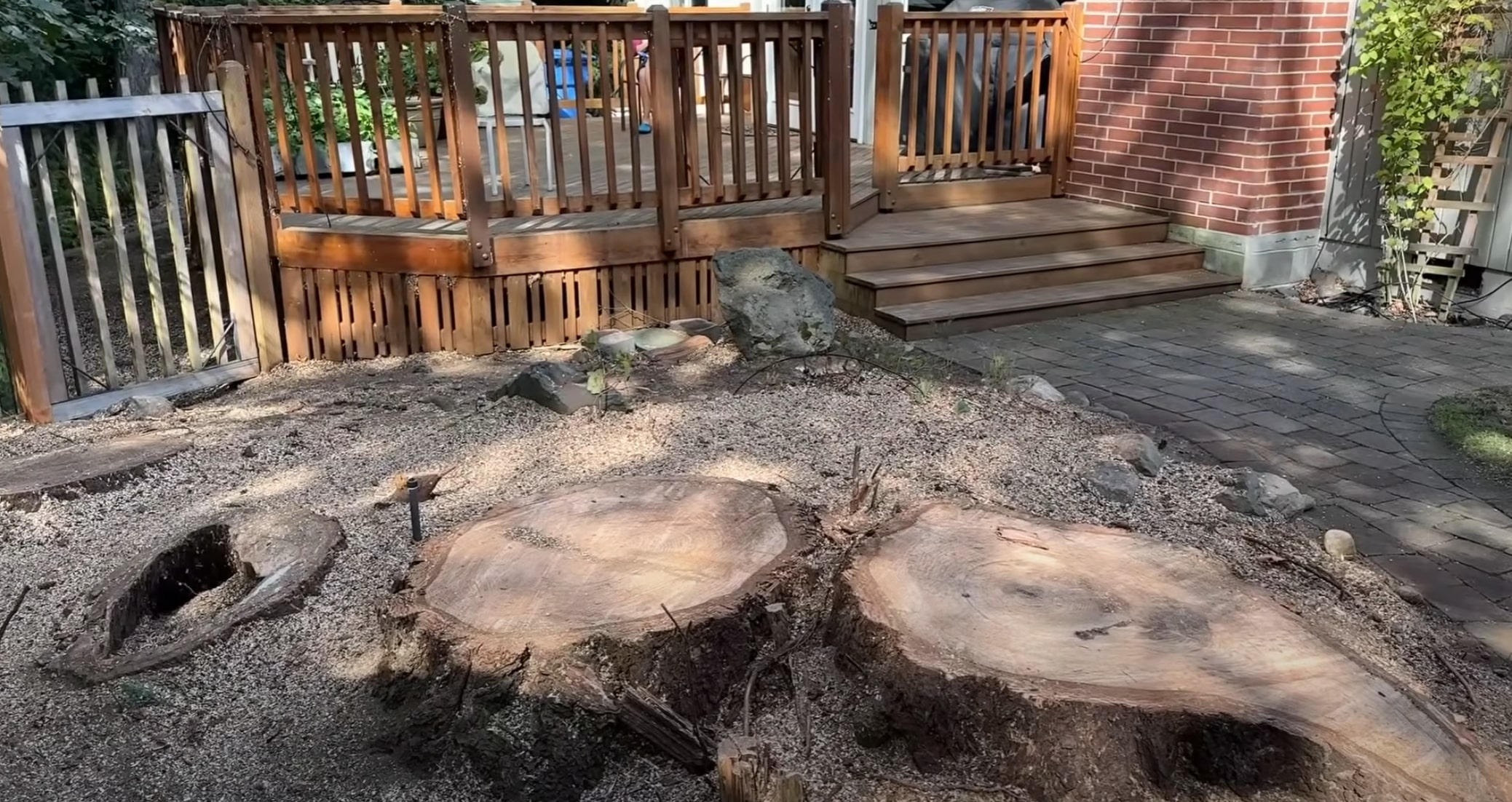 Tree stumps in residential backyard showing need for stump removal in Greenacres, FL