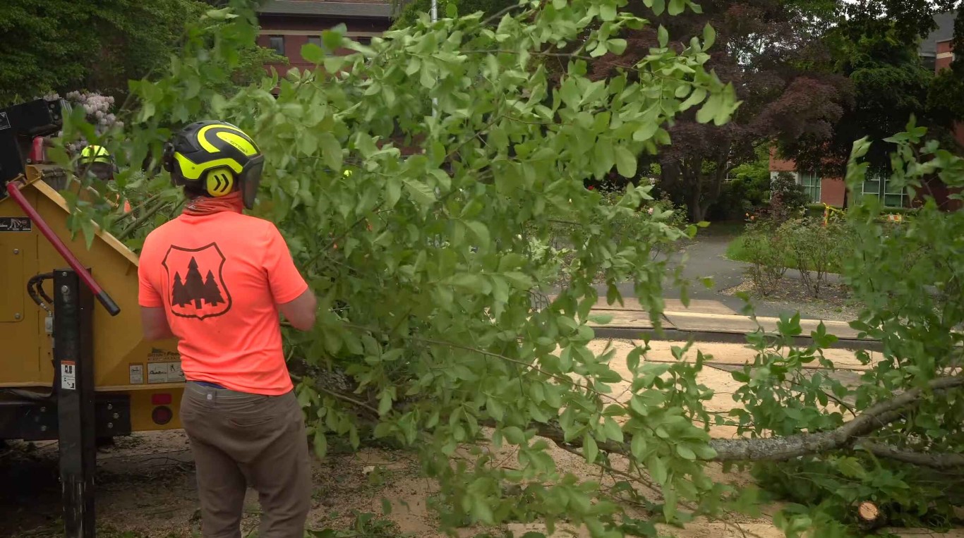 24/7 emergency tree removal service in Greenacres, FL